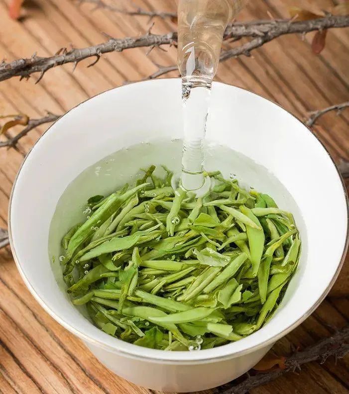 朱虹 龙溪虎：永新白茶 独具四香