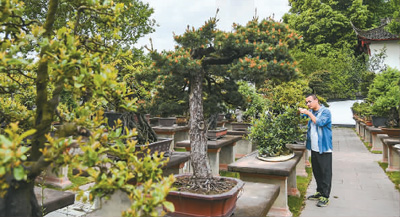 成都：山水园林带动文旅消费