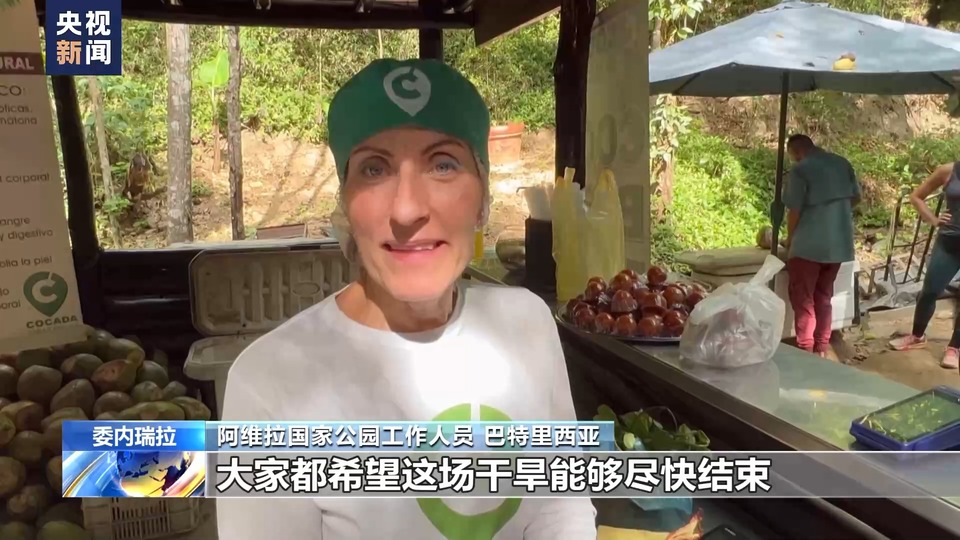 总台记者探访丨委内瑞拉持续干旱高温致林火多发 农作物减产