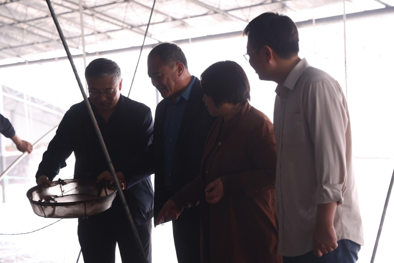河北海兴：推动绿色水产养殖  护航水产高质量发展_fororder_图片 4