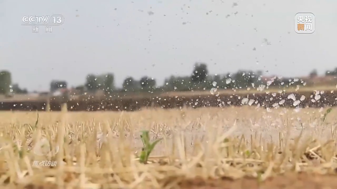 焦点访谈丨本轮高温还将持续多久？各地有何解暑“凉”方