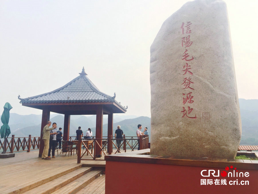 【河南图集】清茶一杯也醉人  信阳茶文化节尽显万种风情