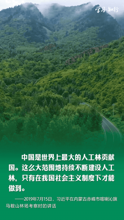 学习·知行丨书写绿色奇迹 习近平指引走好中国特色防沙治沙之路