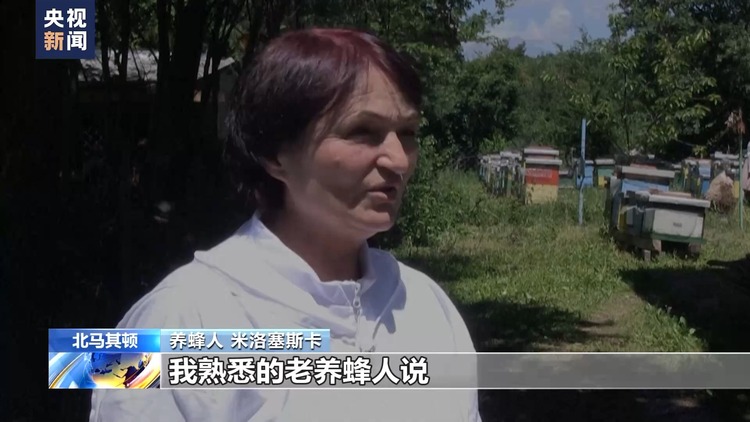 高温持续 北马其顿蜂农遭遇产业危机