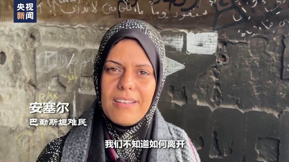 世界周刊丨巴勒斯坦“灾难日”