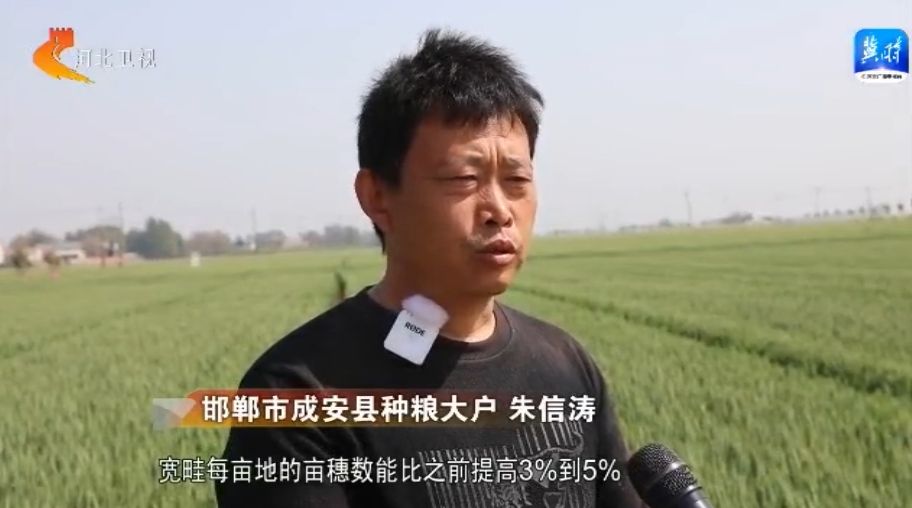 河北：科技种粮提单产 夏粮有望再丰收