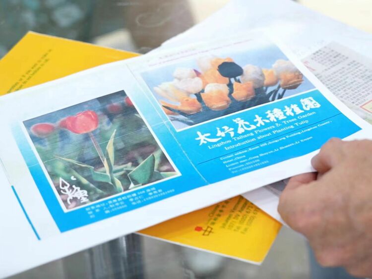 花从海上来丨荷兰花卉商德威特：在华经营40年 对中国市场的光明未来充满信心