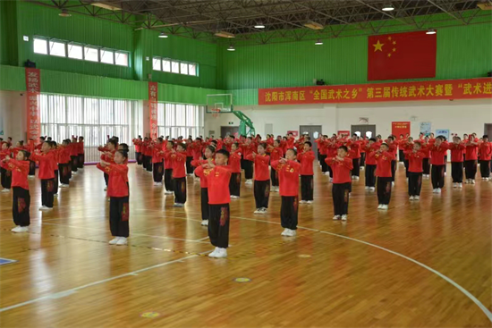沈阳市浑南区举办“全国武术之乡”第三届传统武术大赛暨“武术进校园”活动_fororder_武术2