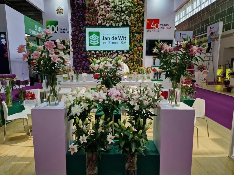 花从海上来丨荷兰花卉商德威特：在华经营40年 对中国市场的光明未来充满信心