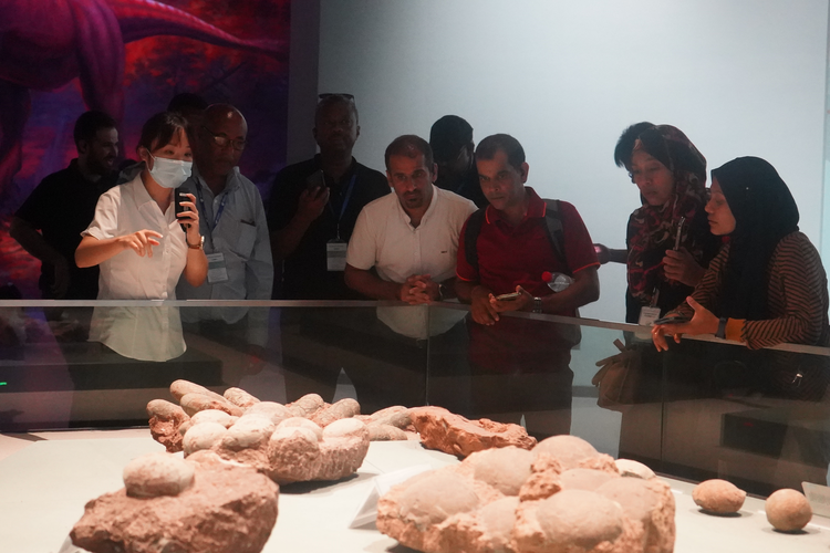 研讨环保和可持续发展，多国环保官员“点赞”生态成都_fororder_11国官员在成都自然博物馆参观 摄影 戴建伟