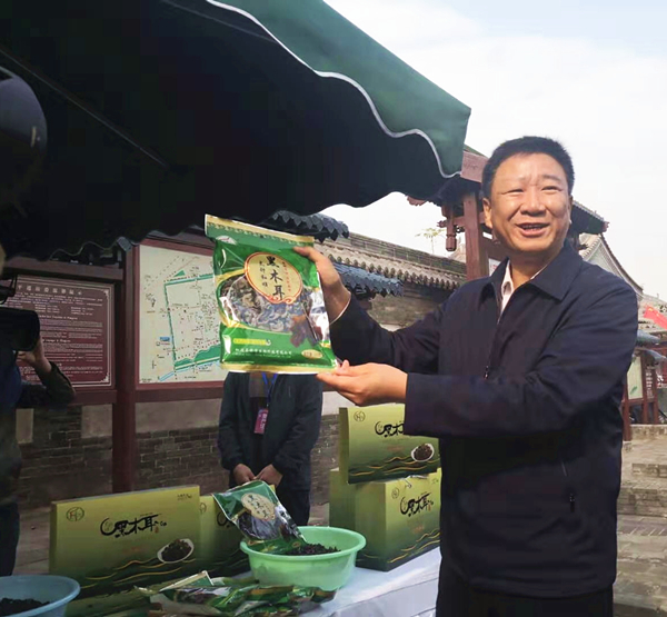 晋中市和顺县第二届丰收节系列主题活动举行