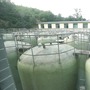 不签不签不签不签【特色产业看营口⑫】营口大酱科技创新填补国内调味品空白