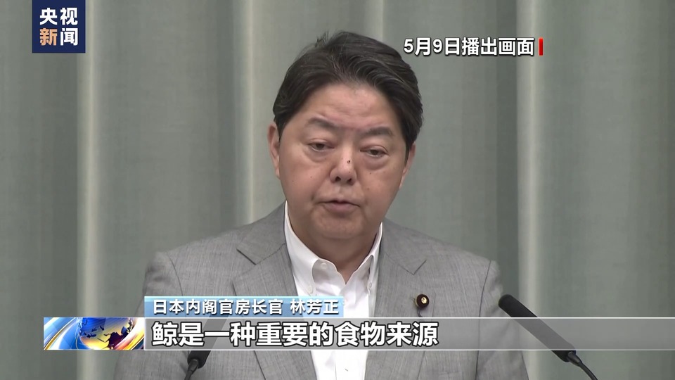 计划新增猎捕对象、新船首航 日本一意孤行商业捕鲸路