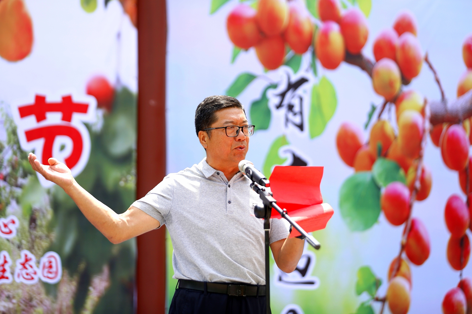 保定市满城区：龙门山庄红杏采摘节暨满城区航拍大队成立_fororder_满城区龙门山庄负责人推介龙门山庄 摄影 田素然