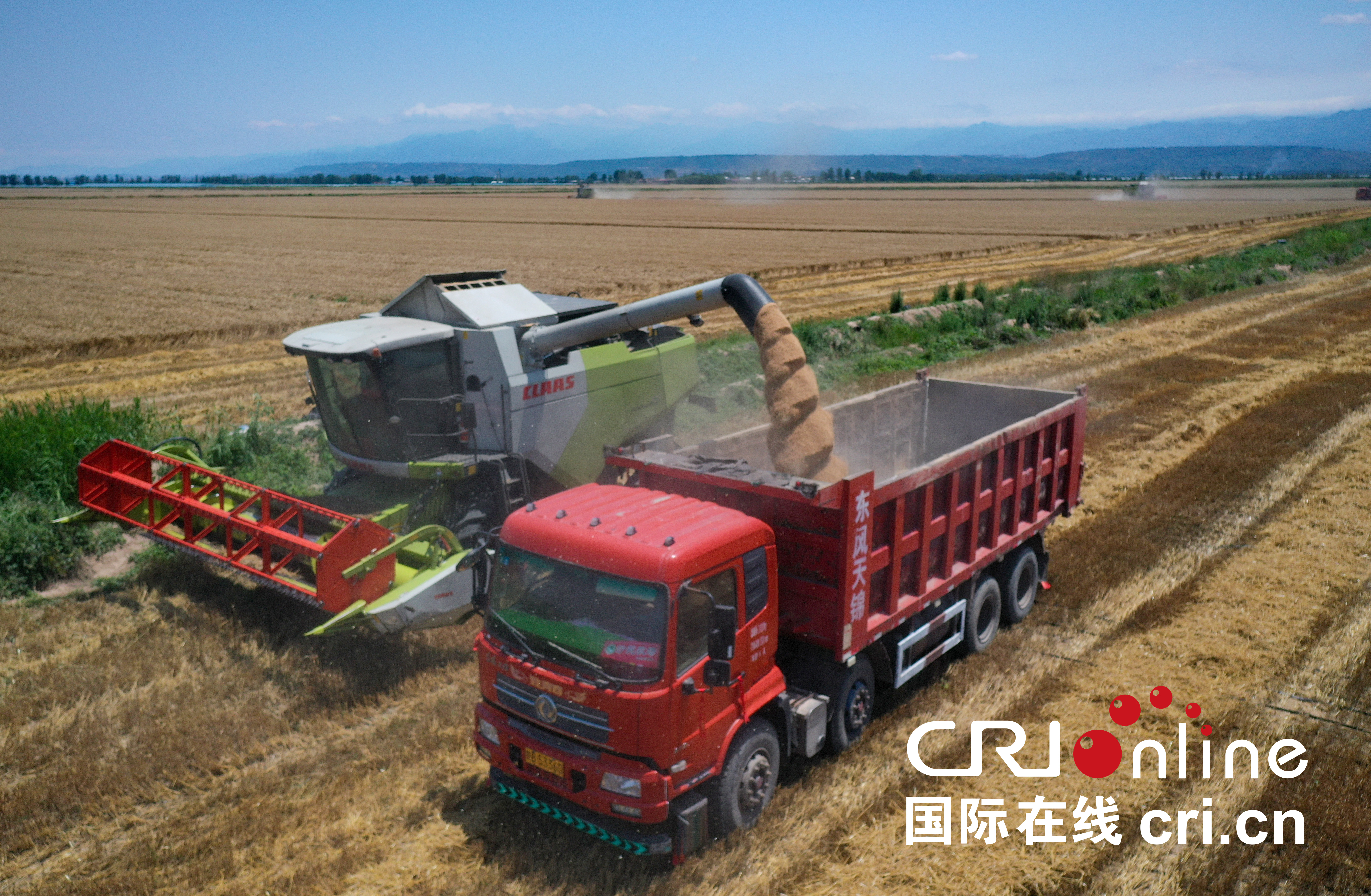 陕西渭南“三夏”大规模机收工作全面展开_fororder_DJI_0277