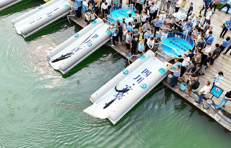 （转载）超18万尾珍稀鱼类在宜宾放流长江_fororder_fff6e204f89d2bdecf4b6380b80b0ee6
