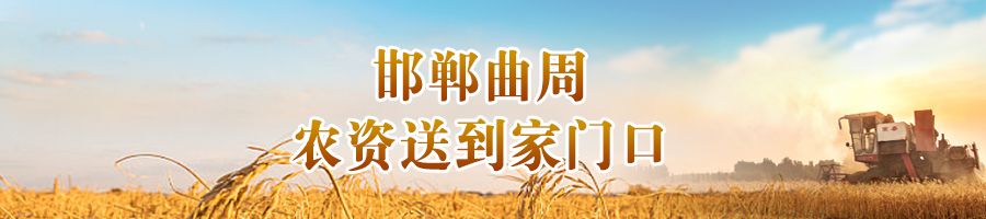 河北：各地护航“三夏”保丰收