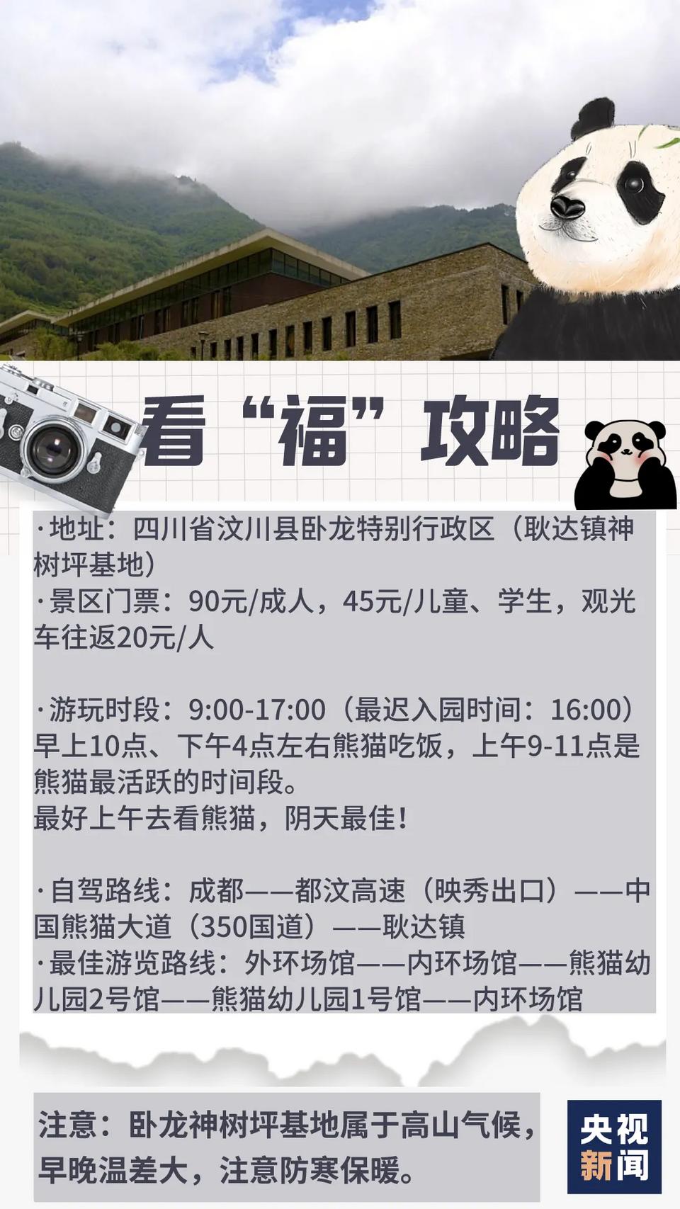 “福”到！旅韩大熊猫“福宝”正式与公众见面