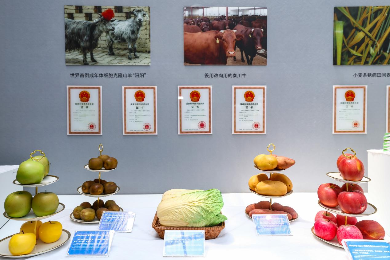Diplomats from More Than 10 Countries Visit Yangling on 5th Anniversary of SCO Agricultural Base Initiative_fororder_图片8