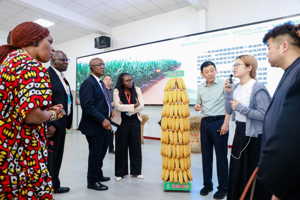 Diplomats from More Than 10 Countries Visit Yangling on 5th Anniversary of SCO Agricultural Base Initiative_fororder_图片6