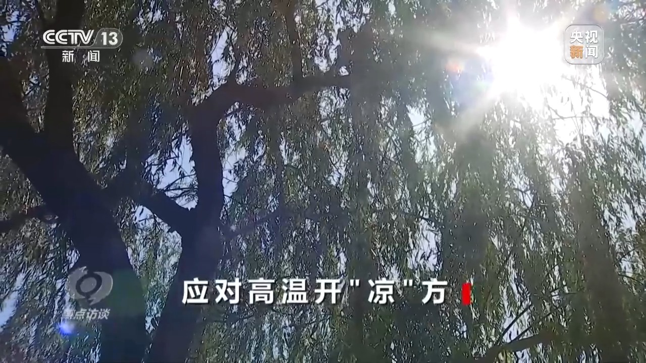 焦点访谈丨本轮高温还将持续多久？各地有何解暑“凉”方