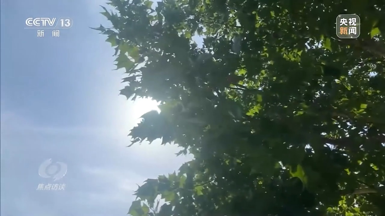 焦点访谈丨本轮高温还将持续多久？各地有何解暑“凉”方