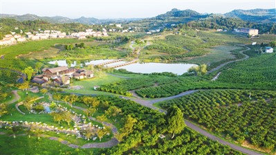 （转载）小番茄彰显中法科技合作大智慧——探访中法农业科技园全气候智能温室