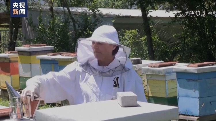 高温持续 北马其顿蜂农遭遇产业危机