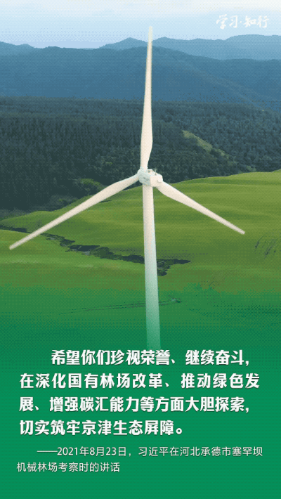 学习·知行丨书写绿色奇迹 习近平指引走好中国特色防沙治沙之路