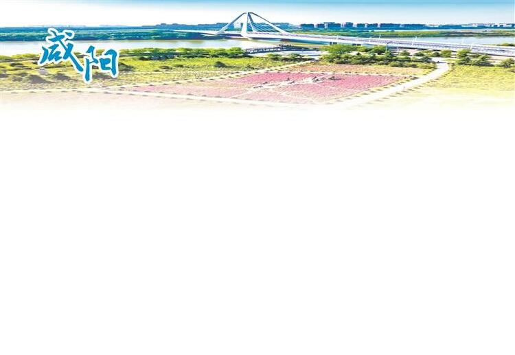 咸阳高新区：链上聚力 产业体系焕新提质_fororder_微信图片_20240620085644