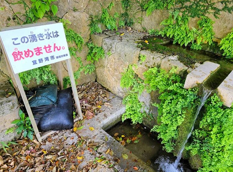 驻日美军基地成大污染源 日本政府选择“瞒报”