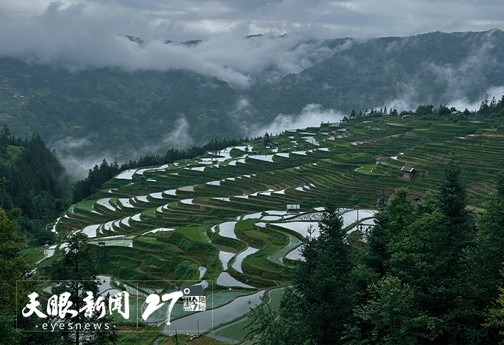 夏至已至，贵州乘凉有“凉”方