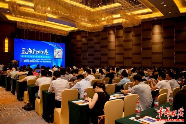 抢抓蓝海新机遇 湘品出海平台资源大会在长沙举行_fororder_1