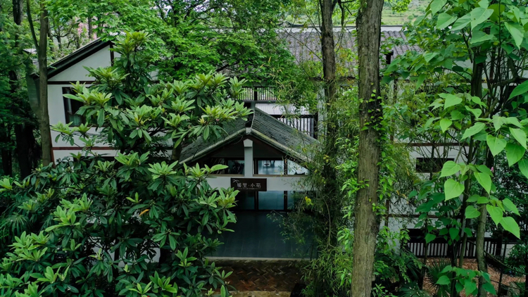 避暑度假到贵州 | “民宿+”：满足多元需求住进风景里