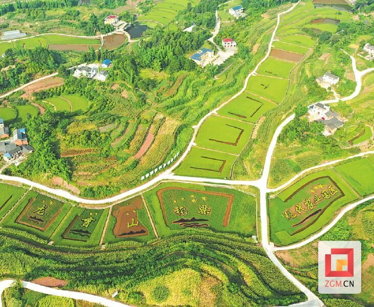 （转载）奋力创建“四川城乡融合发展示范区”——富顺县积极促进城乡双向融合探索发展新途径