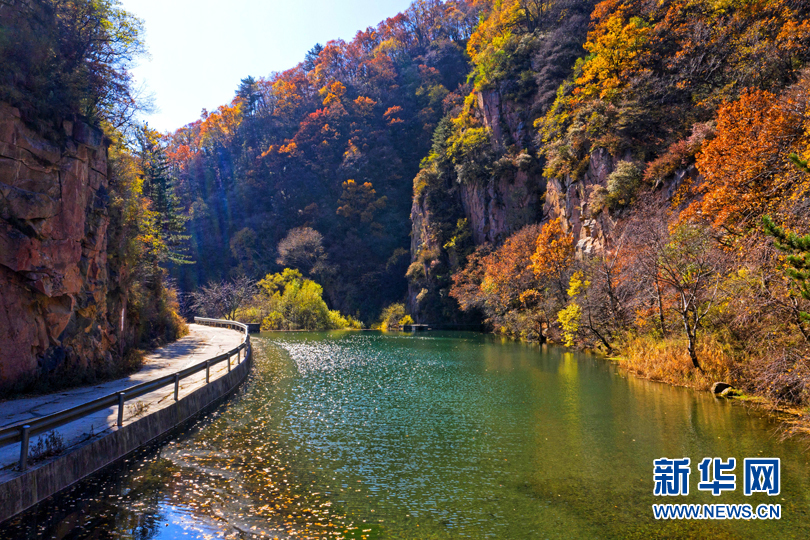 山西：“醉”美秋色 七里峪山巅藏异彩