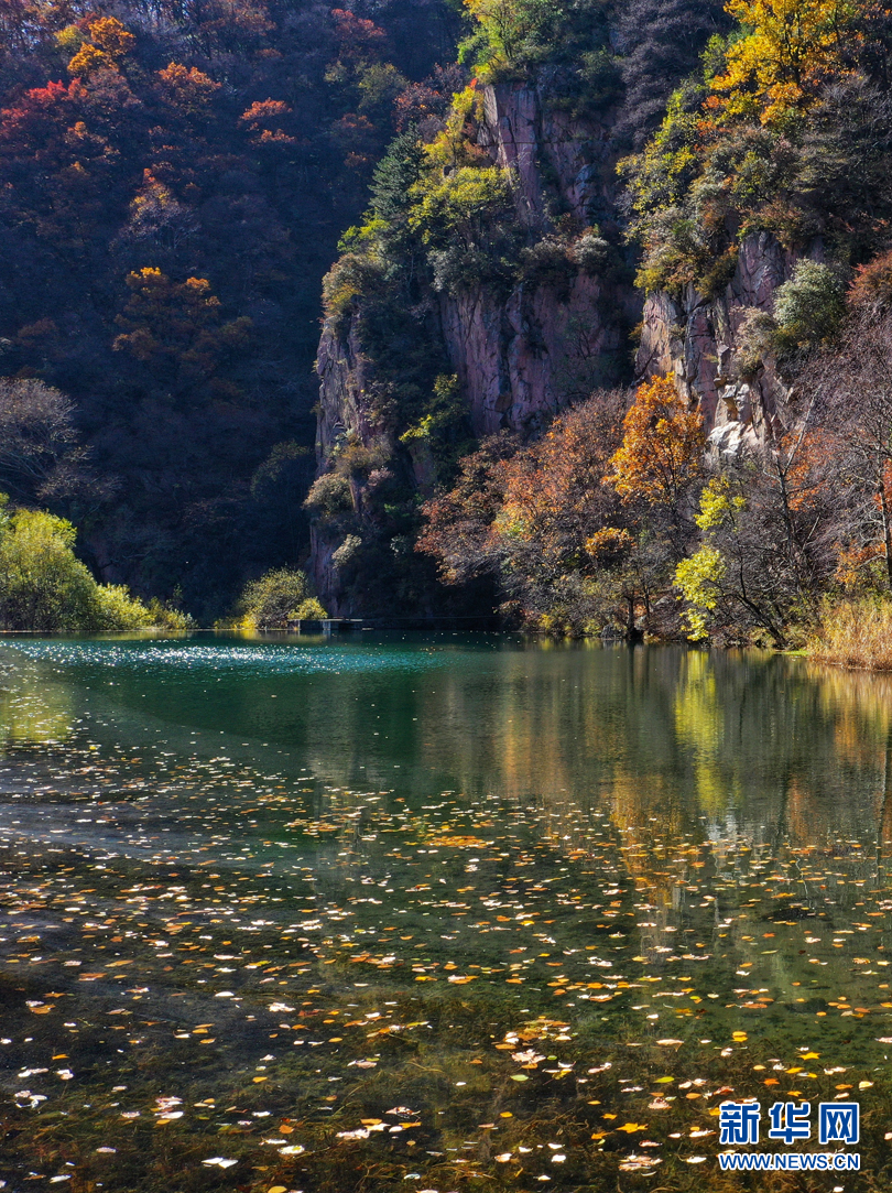 山西：“醉”美秋色 七里峪山巅藏异彩