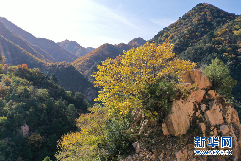 山西：“醉”美秋色 七里峪山巅藏异彩