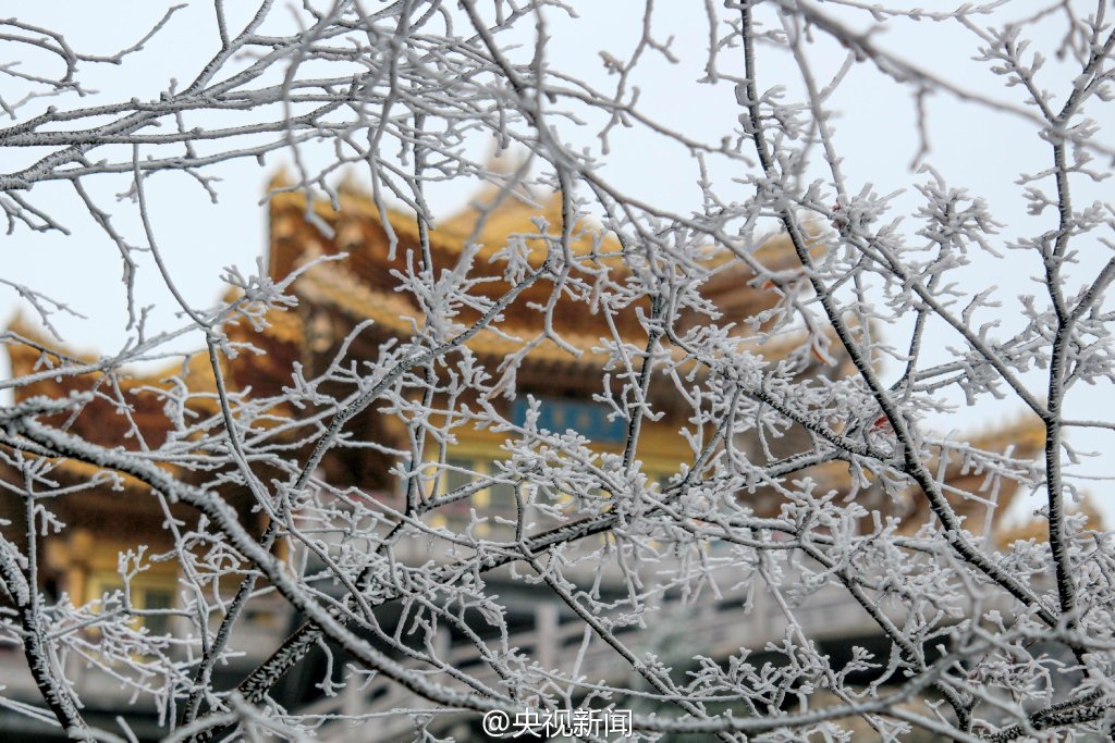 图片默认标题