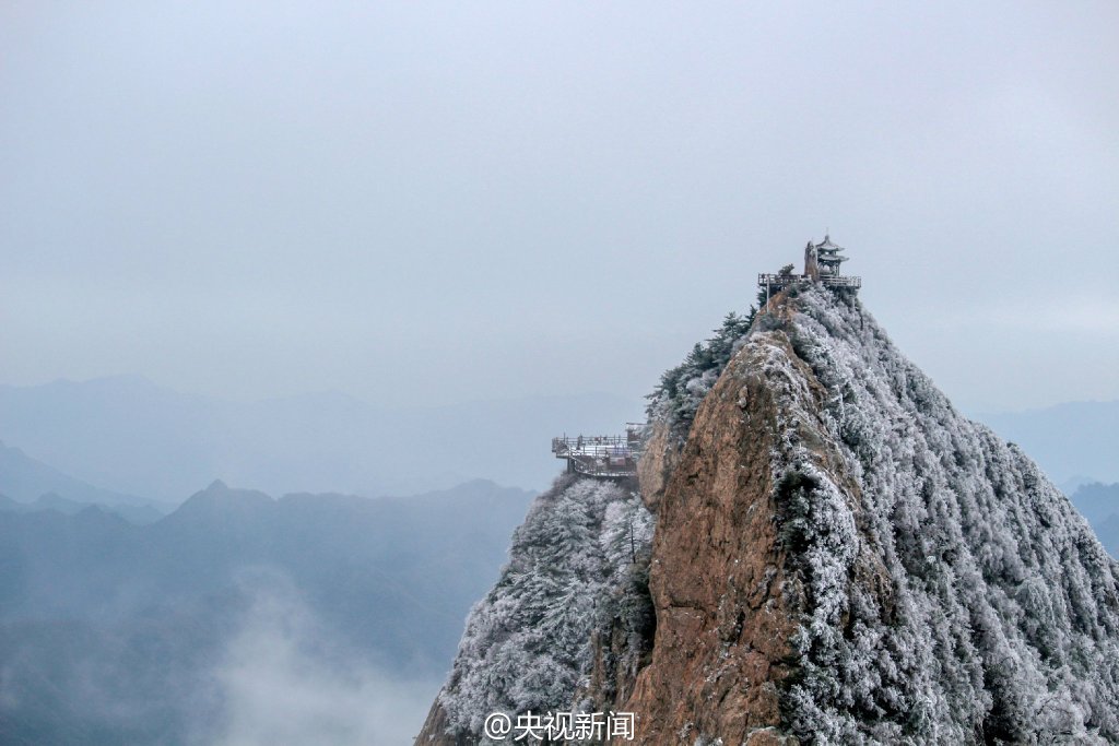 图片默认标题