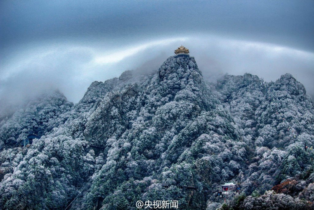 图片默认标题
