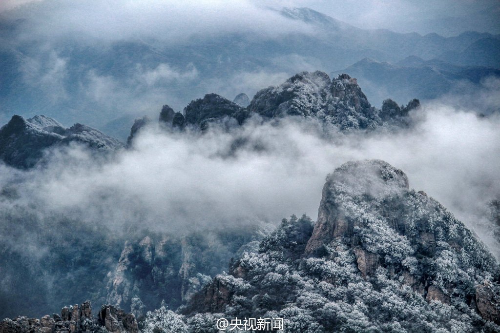 图片默认标题
