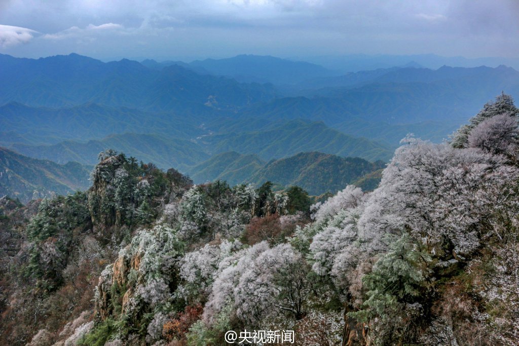 图片默认标题