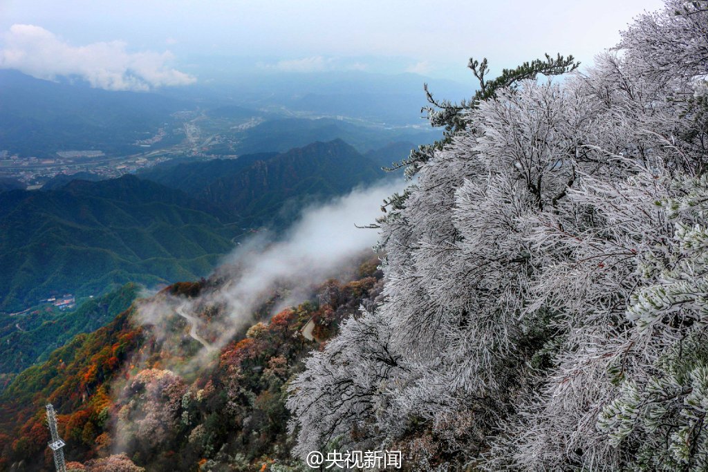 图片默认标题