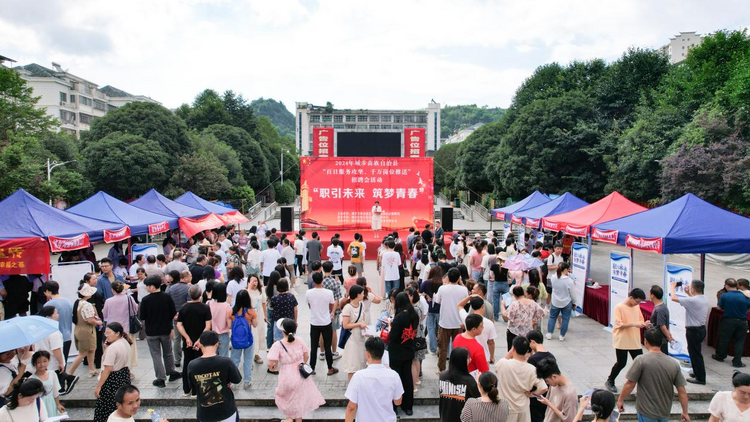 湖南城步举办“职引未来 筑梦青春”专项招聘会_fororder_图片1