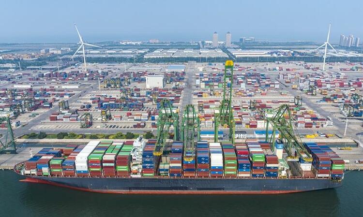 时政微观察丨向海而行 向海而兴