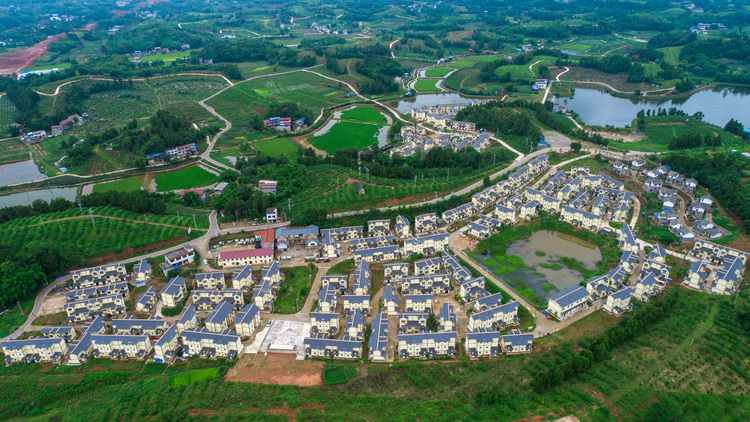 奏城乡融合最强音 绘空港简阳新画卷_fororder_三星镇共和村