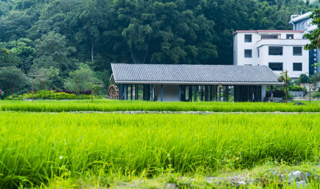 广州黄埔促进城乡要素流动，年轻人带资回村_fororder_f6cd10f3-69f2-4c11-9f9e-e7d74ba0a264