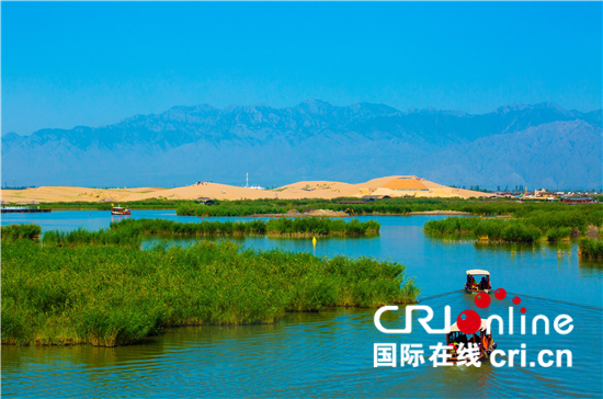 宁夏生态治理成果显著 昔日荒漠变绿洲_fororder_4b2c3256005f43bfacb7b4bdb18a04ba