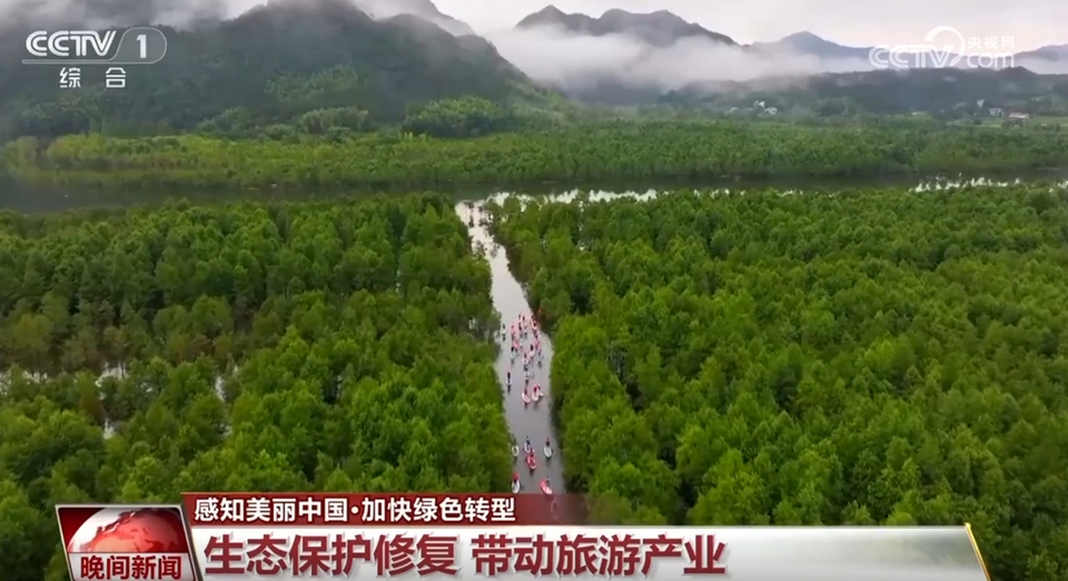通过一组数字感受绿色发展正提速 政策“组合拳”为高质量发展厚植绿色底色